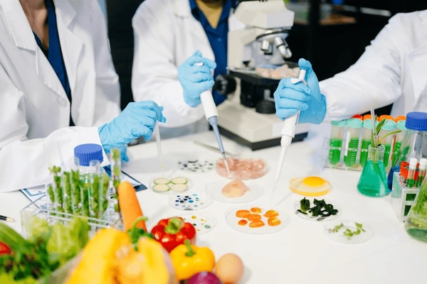 Conservateurs de qualité premium